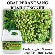 Obat Perangsang Buah Cengkeh / Pupuk Organik Cair 3 Liter / Poc Boster Cengkeh / POC NASA