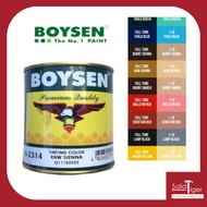 SOLIDTIGER Boysen Tinting Color