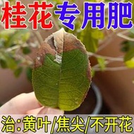 有機肥 花肥 開花肥 肥料 氮磷鉀 磷鉀肥 磷酸二氫鉀 【有機肥】桂花專用肥催花綠葉壯根爆盆懶人養花活性顆粒有機肥料