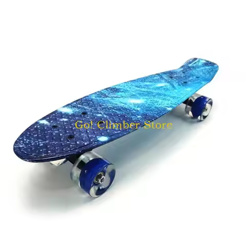 Q84C 22in Complete Mini Cruiser Skateboard Flashing Wheel Fish Skate Board