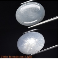 13.12ct 14.3x11.2mm Oval Cab Unheated Light Blue 6 Ray Star Sapphire  Myanmare, Gemstone#tg 12