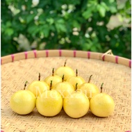 ( M size ) Panama Golden Rose Passion Fruit  ( 1kg ~ 3kg ) ( direct from farm )
