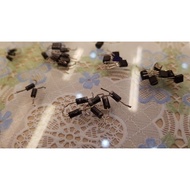 Disassemble machine tl431 8050 fr207 fr107 fr157