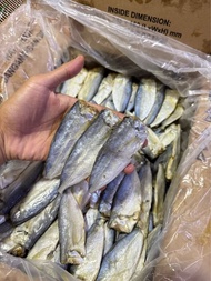 Peda buntung kecil/ikan asin peda 500gram