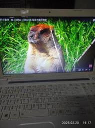 二手筆電，15.6吋 Toshiba C50-A 全新win11，使用流暢，能跑2K 1440p YT，SSD 固態硬碟