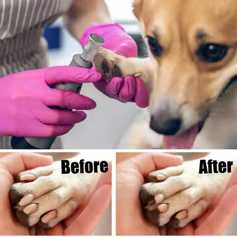 Diamond Nail Grinder Dog Nail Grinder Attachment Pets Nail Care Nail Home Grinder Wheel Work Sanding