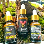 Doping Phoenix 30Ml Liquid Atp Vitamin Obat Jaluaji Tenaga Ayam Tarung