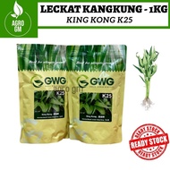 Benih Kangkung 1kg Leckat K-25 Kang Kong 1kg Water Spinach Seed