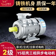 2-Pole YS Aluminum Shell Motor 5.5kw7.5kw11 Kilowatt 15kw18.5kw Aluminum Shell Three-Phase Motor Who