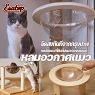 【Esatop】โดมแมว ตั้งพื้น คอนโดแมว ที่นอนแมว หลุมอวกาศ ขนาดใหญ่ ที่นอนแมวพร้อมหลุมใสอะคริลิค