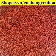 100g-500g Colored Cashews (Curry Seeds)