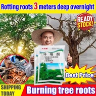 【Malay spot】alion arcun rumput parakuta Weeding，rotten tree eradicator bamboo penyembur racun rumput