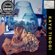 (READY STOCK )AKUARIUM IKAN CUPANG XXL KACA TINGGI / KACA TIUP DAN AKAR BALI / AQUASCAPE / AQUARIUM 