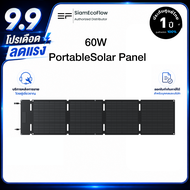 EcoFlow 60W Solar Panel (Type-c)