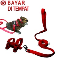 HARNES H TALI TUNTUN SUGAR GLIDER BAJING TUPAI HERNES KADAL HAMSTER HARNESS MODEL H