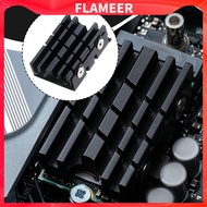 [Flameer] M.2 SSD 2242 Heatsink with Silicone Thermal Pads, Replaces Accessories. Premium Heatsink f