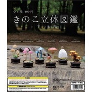 日本正版 蘑菇 菇 🍄 立體圖鑑 扭蛋
