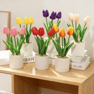 Mini Artificial Tulip Bonsai Dopamine Potted Tulip Home Office Desktop Decoration