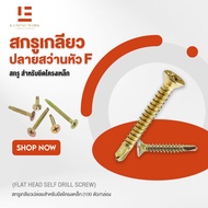 สกรูปลายสว่านหัว F สกรูหัวเกลียว สกรูติดเหล็ก โครงเหล็ก (Self drill screw) KAMINO WORK สกรูนำเข้าจาก