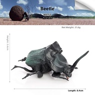 Educational Beetle Dung Beetle Toy