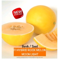 Benih / Seed : 382 F1 Hibrid Rock Melon Moon LiGht
