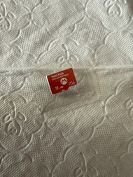 SanDisk microSD Express 256GB