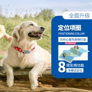 Pet Locator Dog Anti-Lost Device gps Cat Tracking Waterproof Collar Anti-Lost Tracking Device