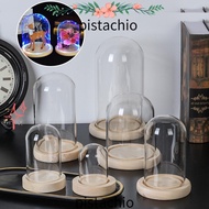 PISTA Glass cloche Fairy Lights Terrarium Tabletop Terrarium Transparent Bottle Jar Wooden base