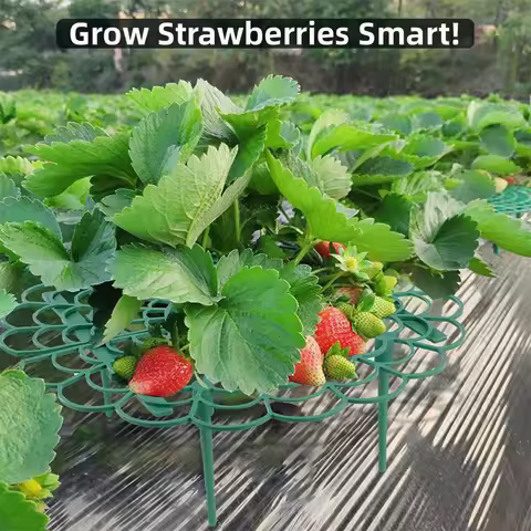 Strawberry Stand Frame Holder Balcony Planting Rack Fruit Support Plant Flower Climbing Vine Pillar 