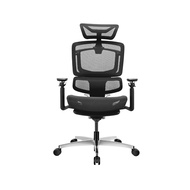 APEX+ Ascent Pro Ergonomic Mesh Office Chair | X5