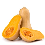 Isi 10 Biji labu Madu - Waluh F1 Seeds/benih biji
