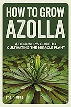 How to Grow Azolla: A Beginner’s Guide to Cultivating the Miracle Plant