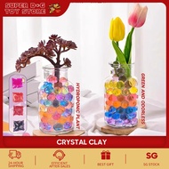 🌈Local Ship 🌈Magic Water Beads Expanding Sensory Toys for Kids Colorful Growing Ocean Jelly Balls Pl