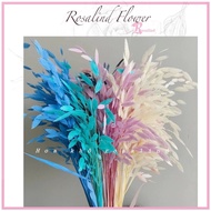 Decorative diamond pandan leaves, premium dried pandan leaves for flower arrangements