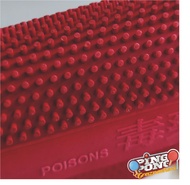 Karet Pingpong Tenis Meja Bintik JAHANAM Poisons