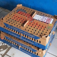 Doc Anak Ayam Kampung Kub 1 Box