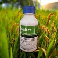 Novlect Racun Rumpai 500ml / Loyant Corteva