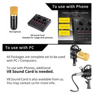 DM800 Dynamic Condenser Microphone Sound Studio KTV Singing Recording Mic