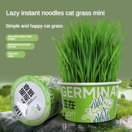 Cat Grass Pot Lazy Planting Cat Grass Cup Cat Grass Seed Catnip Hair Self-Planting Cat Grass Snacks Instant Noodle Grass