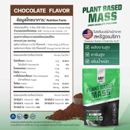 VERTECH NUTRITION โปรตีนพืช เพิ่มน้ำหนัก Plant Based Protein Mass Gainer 2 Lbs เพิ่มกล้ามเนื้อ BULK