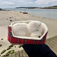 TB9Y Nap Sleeping Basket West Highland Puppy