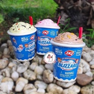 Dairy Queen Lil' Blizzard - Assorted