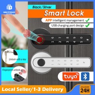 Tuya App Security Door Lock Bluetooth Fingerprint Lock/Smart Unlock/Password Door Lock/Smart Lock/