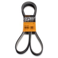 Front Engine Belt CONTINENTAL BMW F10 525D F01-04 730d 740d X5 E70 (7DPK1884)