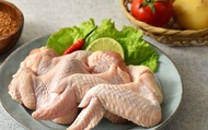 【放養福氣貴雞 三節雞翅400g】Omega亞麻籽養殖 讓肉質層次更豐富