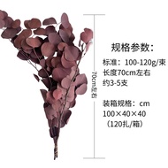 Yunnnan Preserved Flower Apple Leaf Eucalyptus Leaf Eucalyptus Leaf Tanabata Dried Flower Bouquet Fl