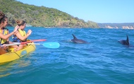 Noosa: Tur Kayak Laut Lumba-lumba Epik & Petualangan Pantai 4X4