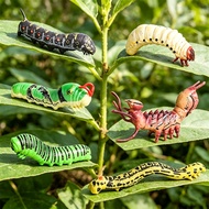 Solid Simulation Animal Larvae Caterpillar Model Set Moth Larvae Jade Belt Phoenix Butterfly Larvae 