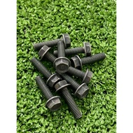 (1pcs) Skru UP MASTER PUMP RXZ