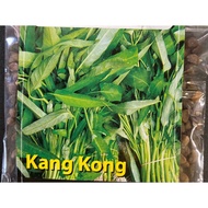 Benih kangkong DAUN LEBAR